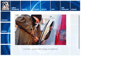Desktop Screenshot of cargard.defa.com